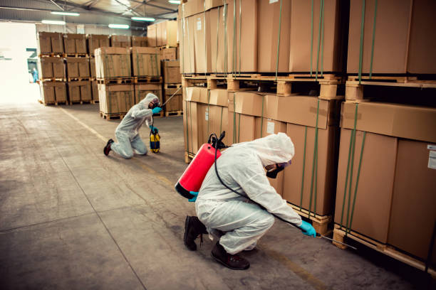 Best Flea Control Services  in Ponca City, OK