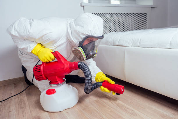 Professional Pest Control in Ponca City, OK