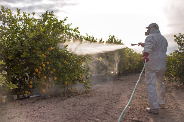 Best Termite Control Services  in Ponca City, OK