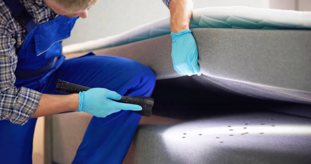 Best Best Pest Control Companies  in Ponca City, OK