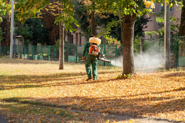 Pest Prevention Services in Ponca City, OK